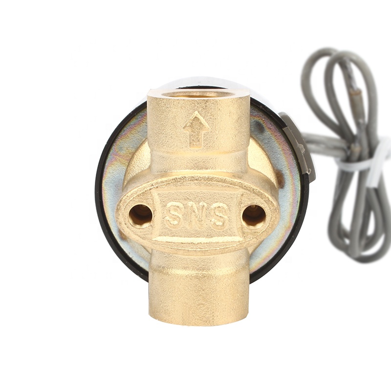 SNS 2W nga serye sa pagkontrol sa elemento nga direktang naglihok nga tipo nga brass solenoid water valve