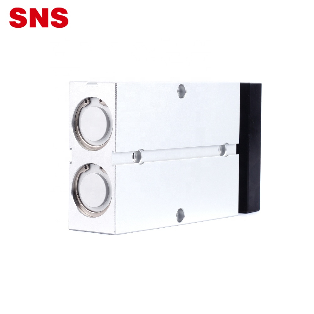 SNS TN Series dual rod shaft double shaft cylinder pneumatic air guide cylinder ជាមួយមេដែក