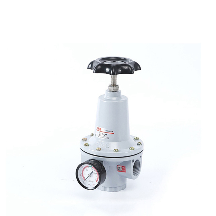 Válvula reguladora de presión conveniente y duradera de alta precisión de la serie SNS QTY