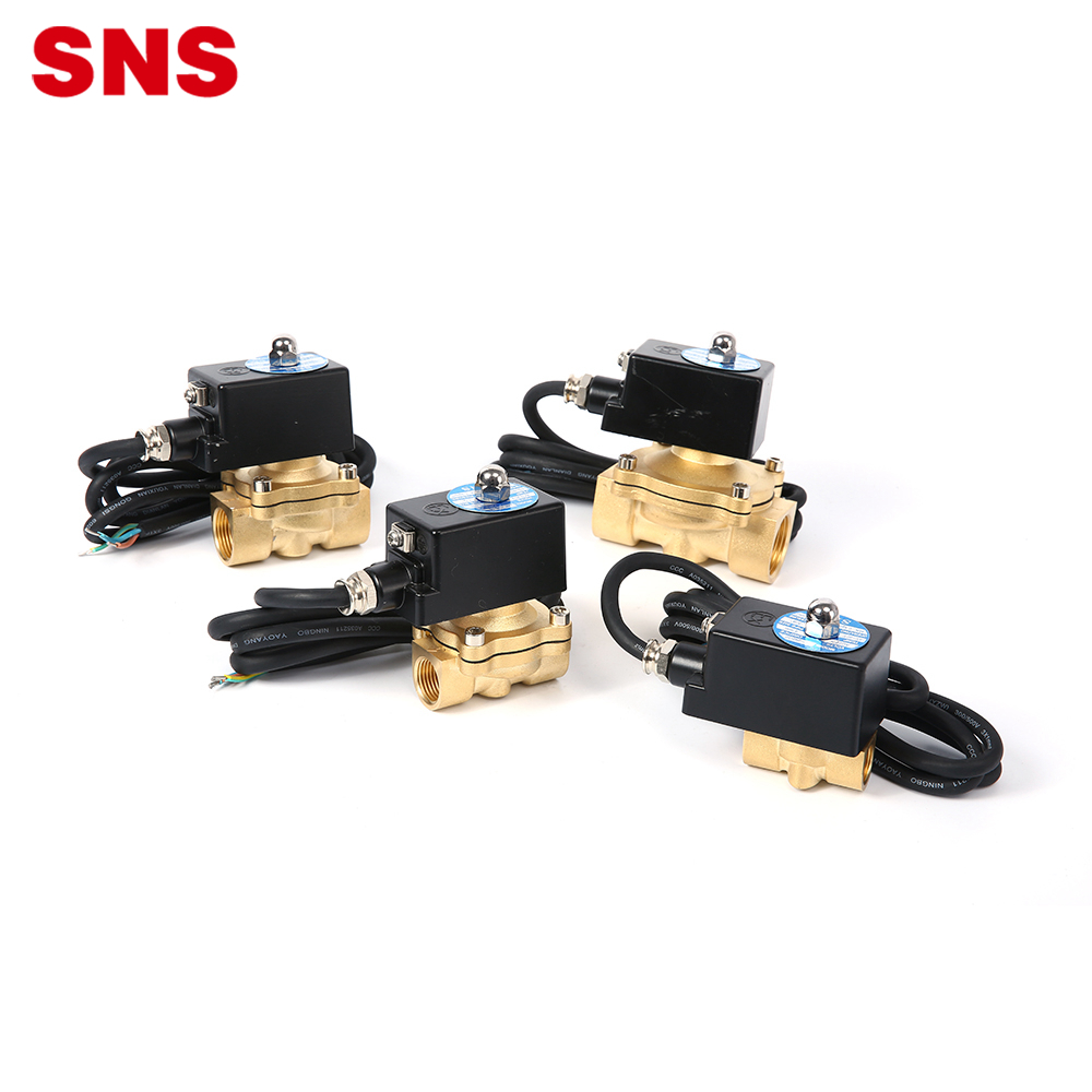 SNS 2WF Series 110V Delîl Teqînê Normal Girtî Pneumatîk Pîvana Mezin Mezinahiya AC 1.0MPa Avê Avê Avê Petrolê Brass Solenoid Valve